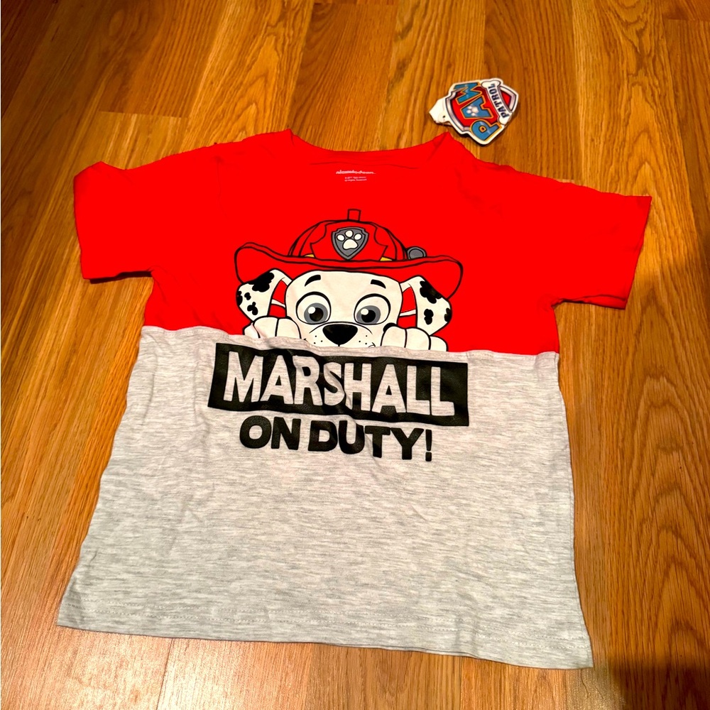 Paw Patrol “ Marshall” Gray Boys T-Shirt